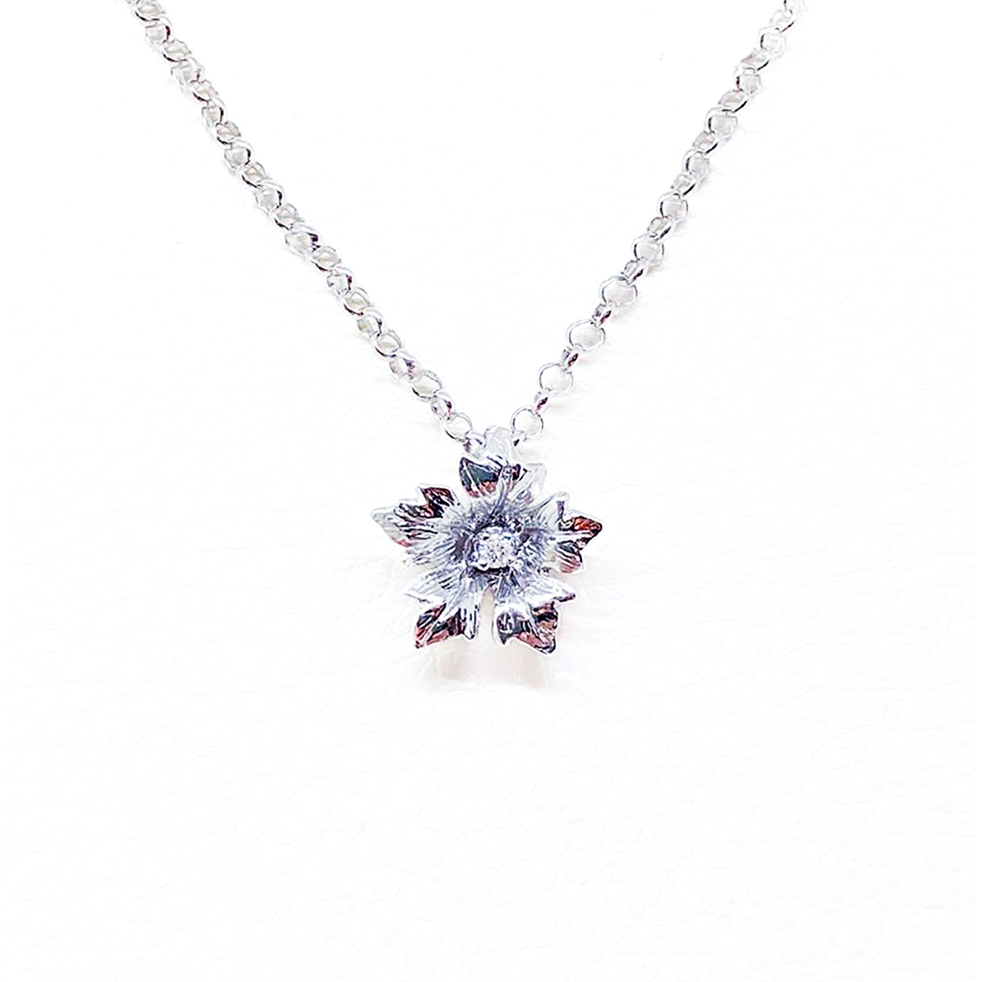 Silver Diamond Liberty necklace 